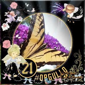 Meet your Posher, Lucy